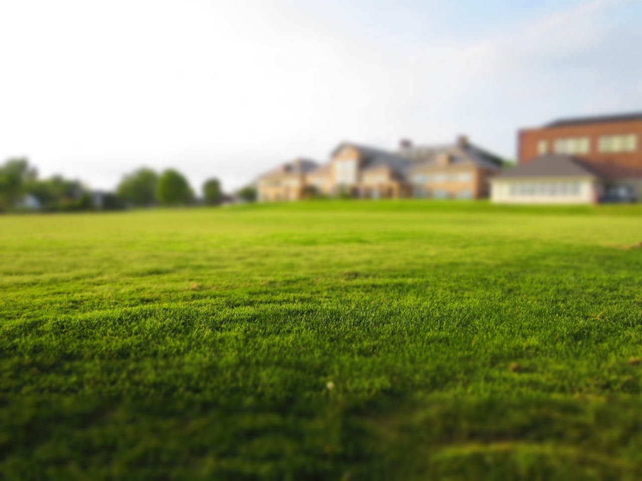 Crafting Captivating Headlines: Your awesome post title goes here Expansive green lawn with a blurred building in the distance under a clear sky.